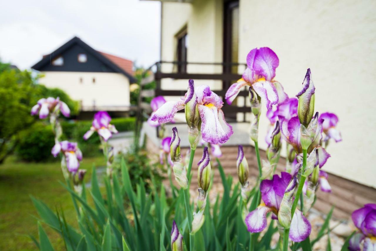 Apartment Ani Bled Exterior foto